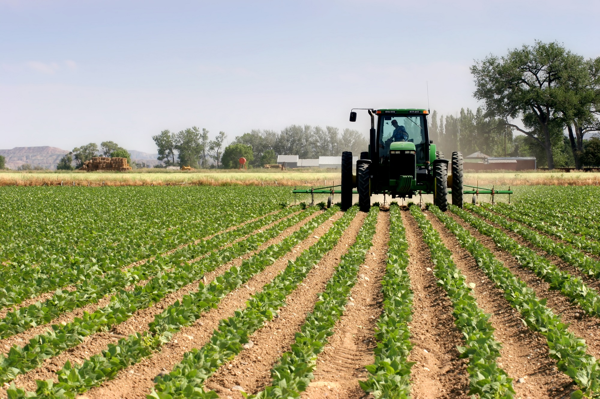 Campagne agricole: l’espoir renait dans le monde rural